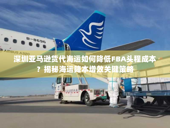 深圳亚马逊货代海运如何降低FBA头程成本？揭秘海运降本增效关键策略