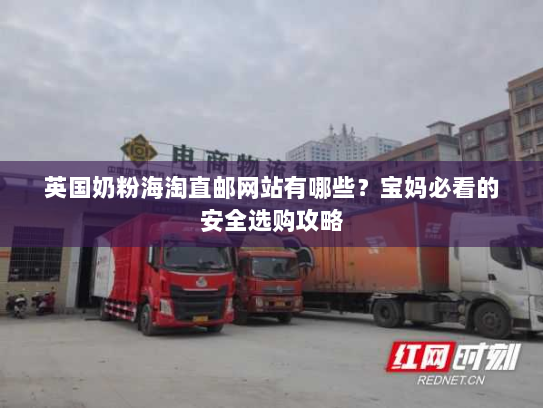 英国奶粉海淘直邮网站有哪些?宝妈必看的安全选购攻略 英国奶粉海淘直邮网站有哪些?宝妈必看的安全选购攻略
