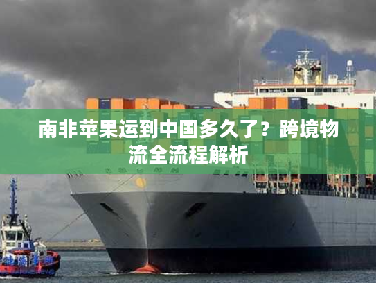 南非苹果运到中国多久了?跨境物流全流程解析 南非苹果运到中国多久了?跨境物流全流程解析