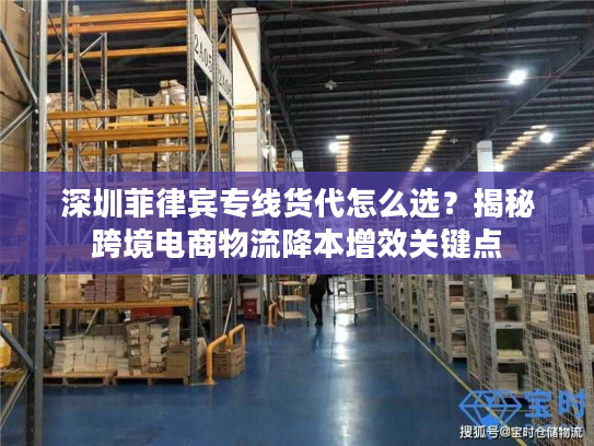 深圳菲律宾专线货代怎么选？揭秘跨境电商物流降本增效关键点