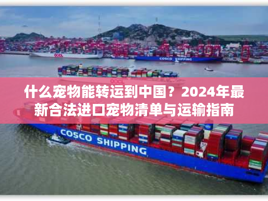 什么宠物能转运到中国？2024年最新合法进口宠物清单与运输指南