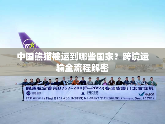 中国熊猫被运到哪些国家？跨境运输全流程解密