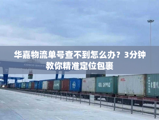 华嘉物流单号查不到怎么办？3分钟教你精准定位包裹