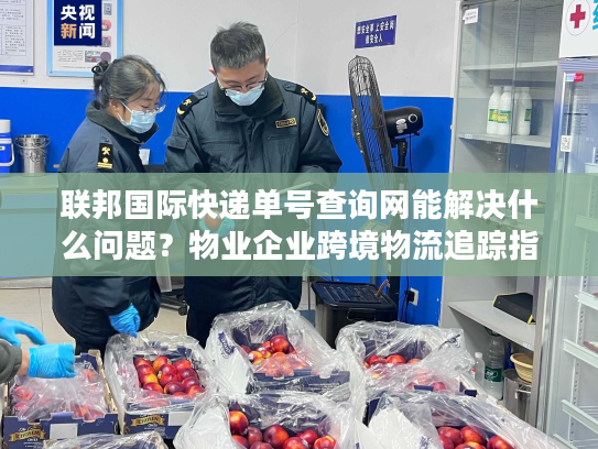 联邦国际快递单号查询网能解决什么问题?物业企业跨境物流追踪指南 联邦国际快递单号查询网能解决什么问题?物业企业跨境物流追踪指南