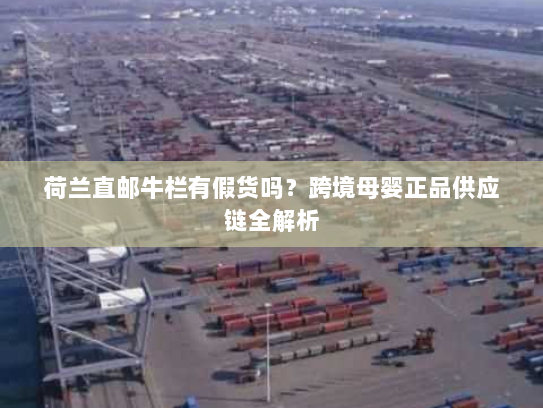 荷兰直邮牛栏有假货吗？跨境母婴正品供应链全解析