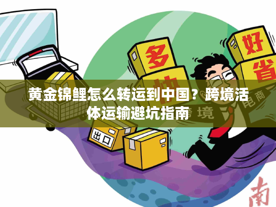 黄金锦鲤怎么转运到中国？跨境活体运输避坑指南