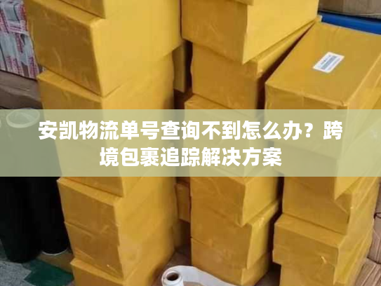 安凯物流单号查询不到怎么办？跨境包裹追踪解决方案