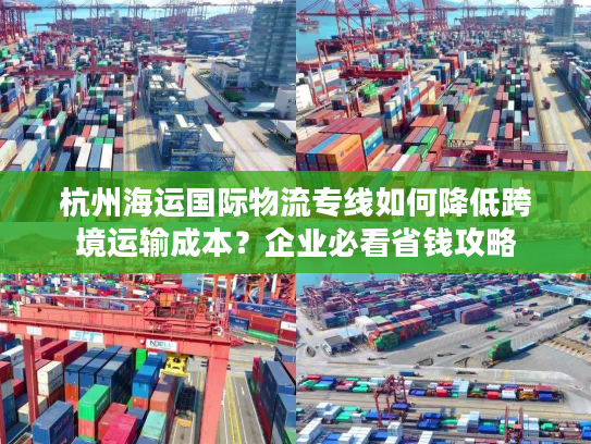 杭州海运国际物流专线如何降低跨境运输成本？企业必看省钱攻略