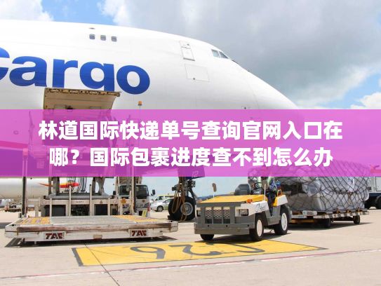 林道国际快递单号查询官网入口在哪？国际包裹进度查不到怎么办