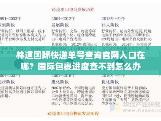林道国际快递单号查询官网入口在哪？国际包裹进度查不到怎么办