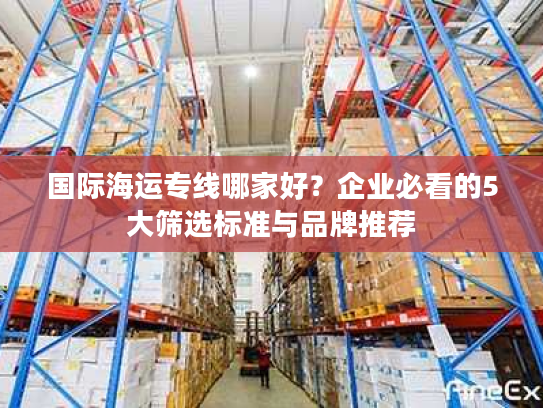 国际海运专线哪家好？企业必看的5大筛选标准与品牌推荐