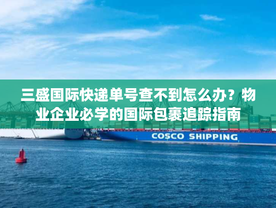 三盛国际快递单号查不到怎么办？物业企业必学的国际包裹追踪指南