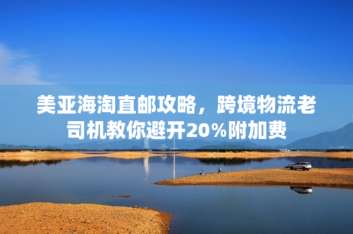 美亚海淘直邮攻略，跨境物流老司机教你避开20%附加费