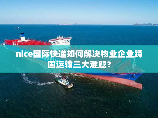 nice国际快递如何解决物业企业跨国运输三大难题？