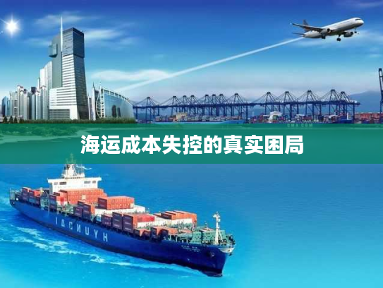 海运成本失控的真实困局 海运成本失控的真实困局