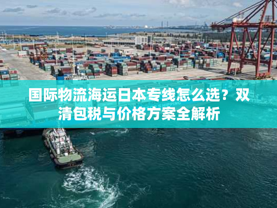 国际物流海运日本专线怎么选？双清包税与价格方案全解析