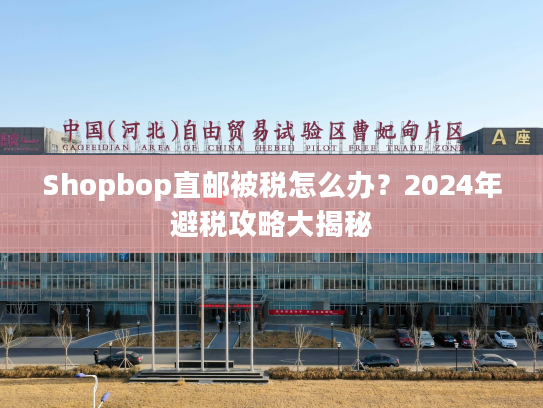 Shopbop直邮被税怎么办？2024年避税攻略大揭秘