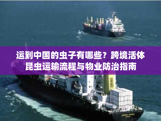 运到中国的虫子有哪些？跨境活体昆虫运输流程与物业防治指南