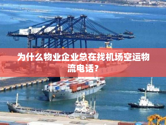 为什么物业企业总在找机场空运物流电话？