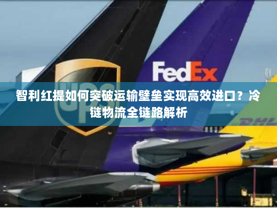 智利红提如何突破运输壁垒实现高效进口？冷链物流全链路解析