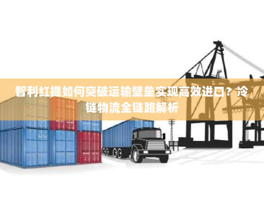 智利红提如何突破运输壁垒实现高效进口？冷链物流全链路解析