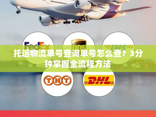 托运物流单号查询单号怎么查？3分钟掌握全流程方法
