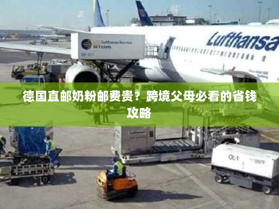 德国直邮奶粉邮费贵?跨境父母必看的省钱攻略 德国直邮奶粉邮费贵?跨境父母必看的省钱攻略