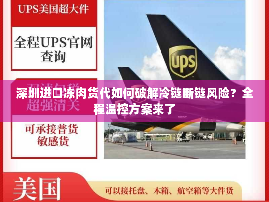 深圳进口冻肉货代如何破解冷链断链风险？全程温控方案来了