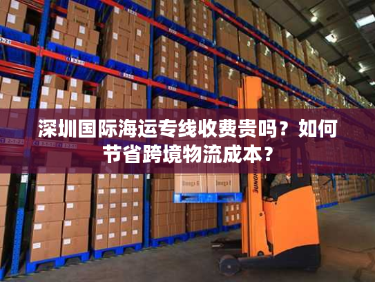 深圳国际海运专线收费贵吗？如何节省跨境物流成本？
