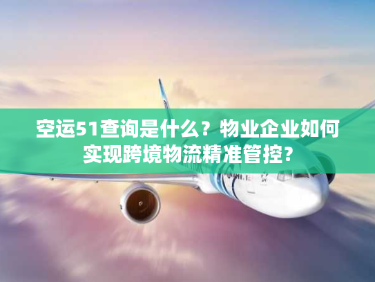 空运51查询是什么?物业企业如何实现跨境物流精准管控? 空运51查询是什么?物业企业如何实现跨境物流精准管控?
