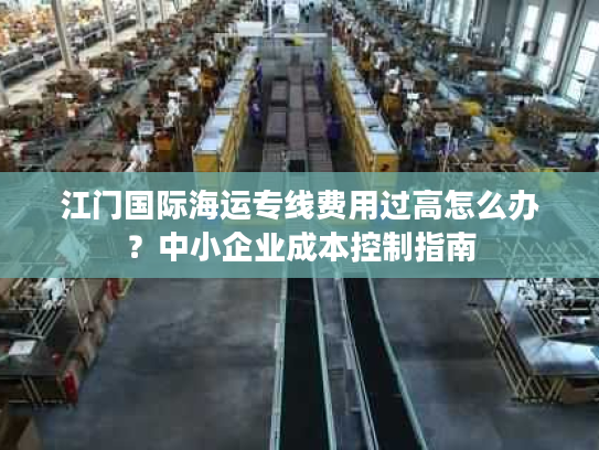 江门国际海运专线费用过高怎么办？中小企业成本控制指南