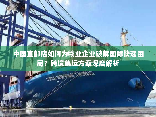 中国直邮店如何为物业企业破解国际快递困局?跨境集运方案深度解析 中国直邮店如何为物业企业破解国际快递困局?跨境集运方案深度解析
