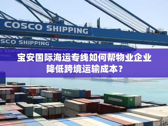 宝安国际海运专线如何帮物业企业降低跨境运输成本？