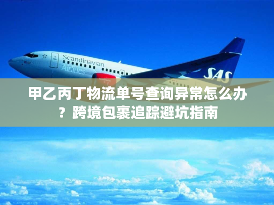 甲乙丙丁物流单号查询异常怎么办？跨境包裹追踪避坑指南