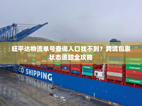 旺平达物流单号查询入口找不到?跨境包裹状态追踪全攻略 旺平达物流单号查询入口找不到?跨境包裹状态追踪全攻略