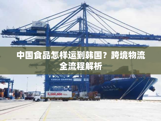 中国食品怎样运到韩国？跨境物流全流程解析