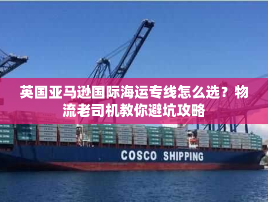 英国亚马逊国际海运专线怎么选？物流老司机教你避坑攻略