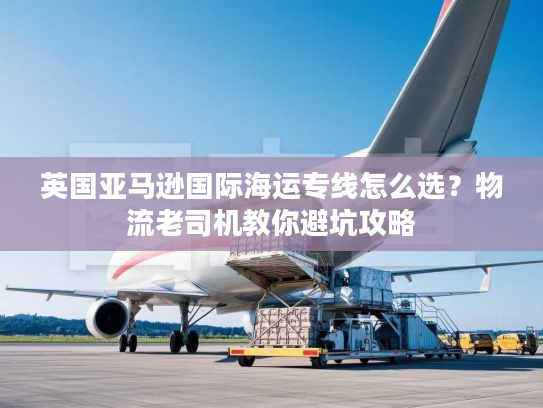 英国亚马逊国际海运专线怎么选？物流老司机教你避坑攻略