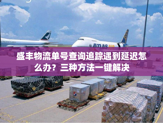 盛丰物流单号查询追踪遇到延迟怎么办？三种方法一键解决