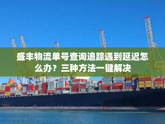 盛丰物流单号查询追踪遇到延迟怎么办？三种方法一键解决