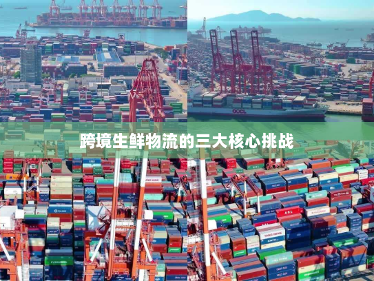 跨境生鲜物流的三大核心挑战 跨境生鲜物流的三大核心挑战