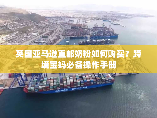 英国亚马逊直邮奶粉如何购买？跨境宝妈必备操作手册