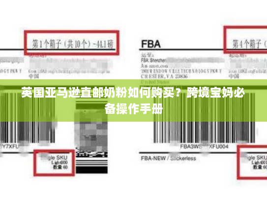 英国亚马逊直邮奶粉如何购买？跨境宝妈必备操作手册