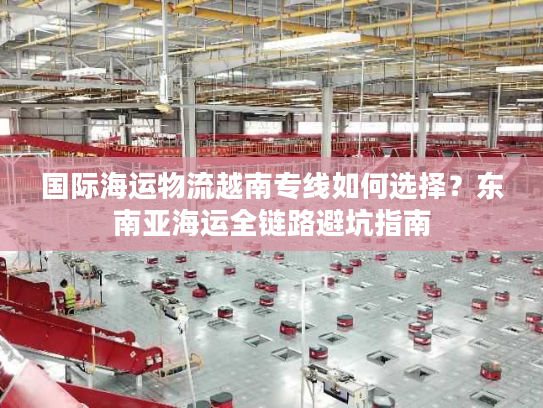 国际海运物流越南专线如何选择？东南亚海运全链路避坑指南