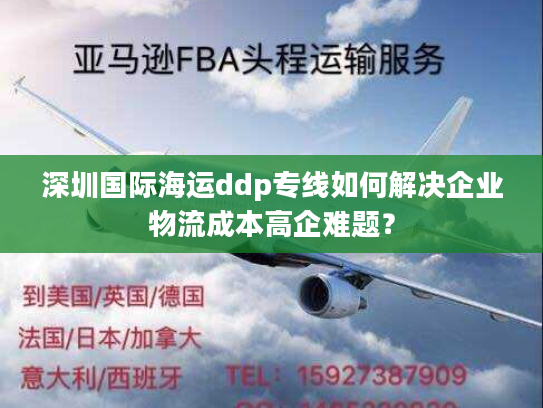 深圳国际海运ddp专线如何解决企业物流成本高企难题? 深圳国际海运ddp专线如何解决企业物流成本高企难题?