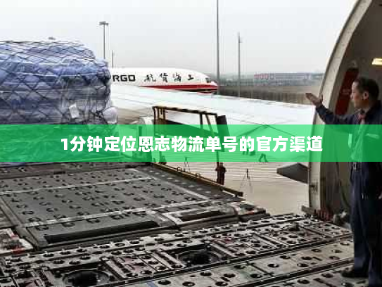 1分钟定位恩志物流单号的官方渠道