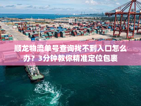 顺龙物流单号查询找不到入口怎么办？3分钟教你精准定位包裹