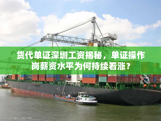 货代单证深圳工资揭秘,单证操作岗薪资水平为何持续看涨? 货代单证深圳工资揭秘,单证操作岗薪资水平为何持续看涨?