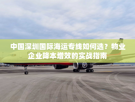 中国深圳国际海运专线如何选？物业企业降本增效的实战指南