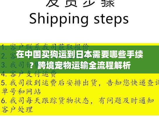 在中国买狗运到日本需要哪些手续？跨境宠物运输全流程解析